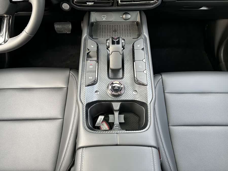 Haval X Dog 2 New Energy 2024 car image #14