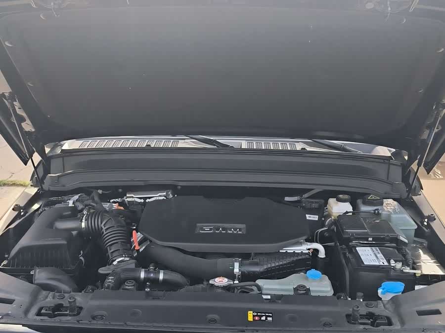 Tank 300 New Energy 2025 #14 Tank 300 New Energy 2025 immagine di auto #14