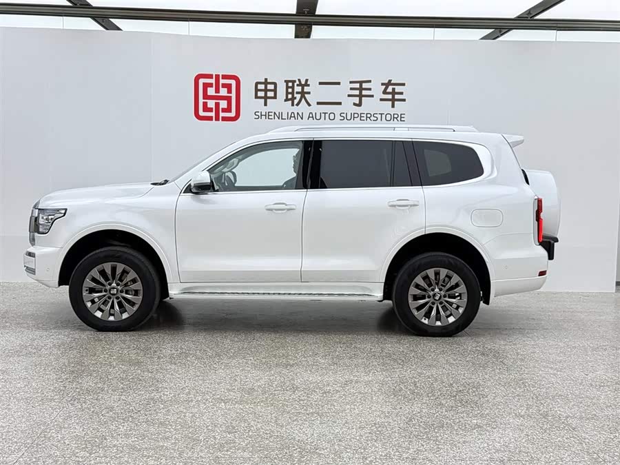 Tank 500 New Energy 2024 immagine di auto #14