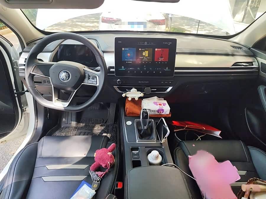 BYD Qin Pro 2019 car image #14