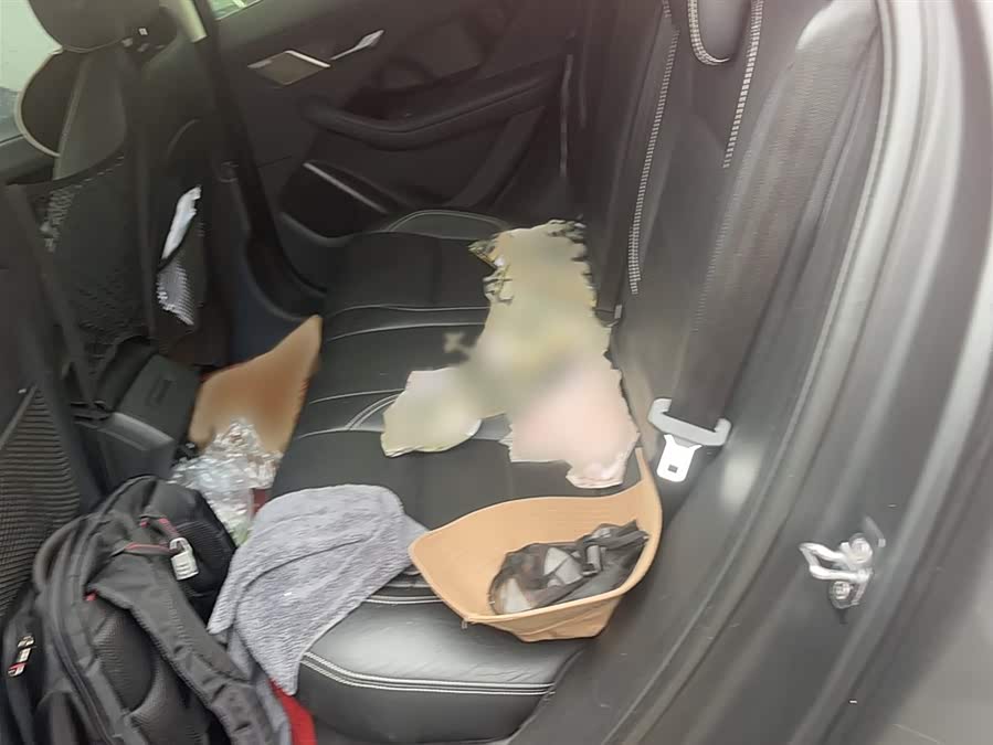 2020 #14 2020 car image #14