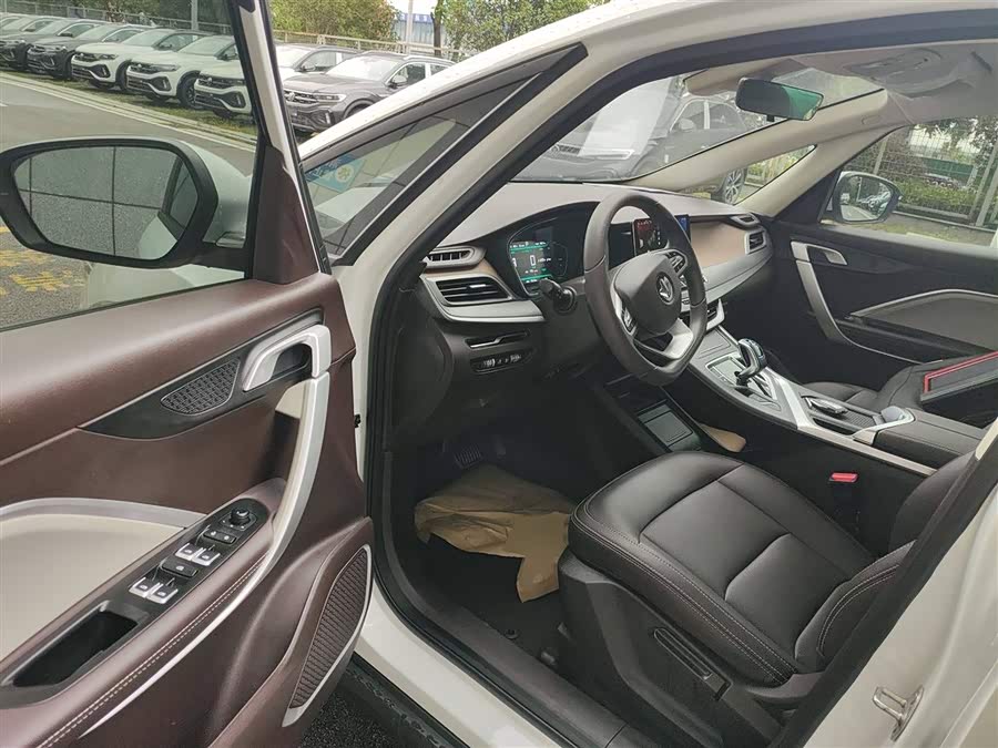 Livan Maple 80V L 2024 car image #14