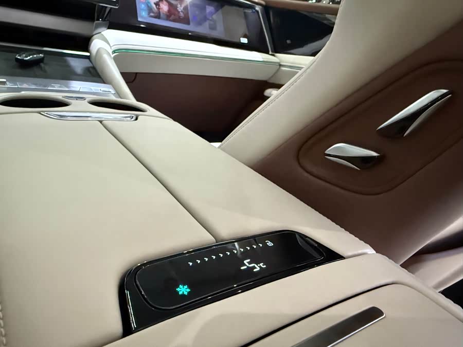 BYD Xia 2024 imagen de coche #14