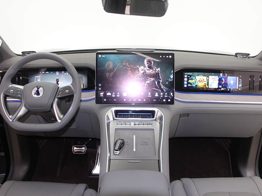 Denza N9 2025 car image #14