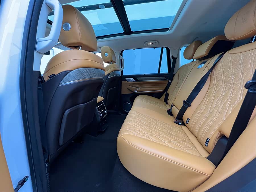 Tank 500 New Energy 2023 immagine di auto #14