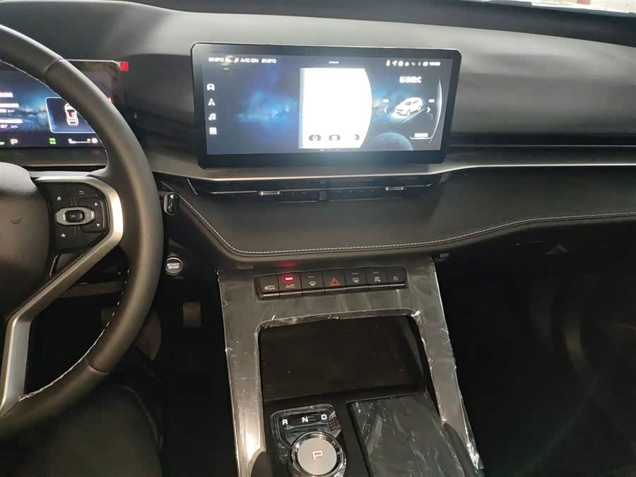 Haval H6 2025 immagine di auto #14