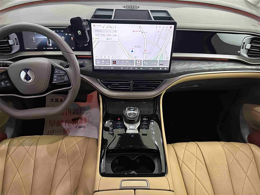 Denza D9 2023 imagem de carro #14