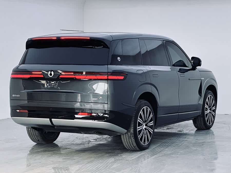 Denza N9 2025 car image #14