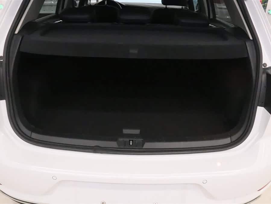 Volkswagen Golf Pure Electric 2020 #14 Volkswagen Golf Pure Electric 2020 car image #14