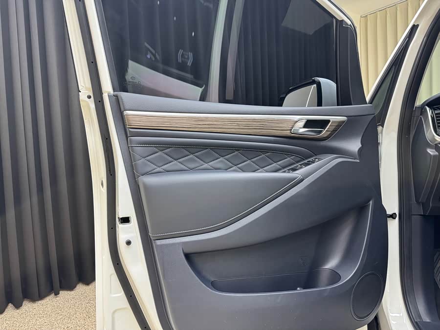 GAC Trumpchi M8 2020 #14 GAC Trumpchi M8 2020 car image #14