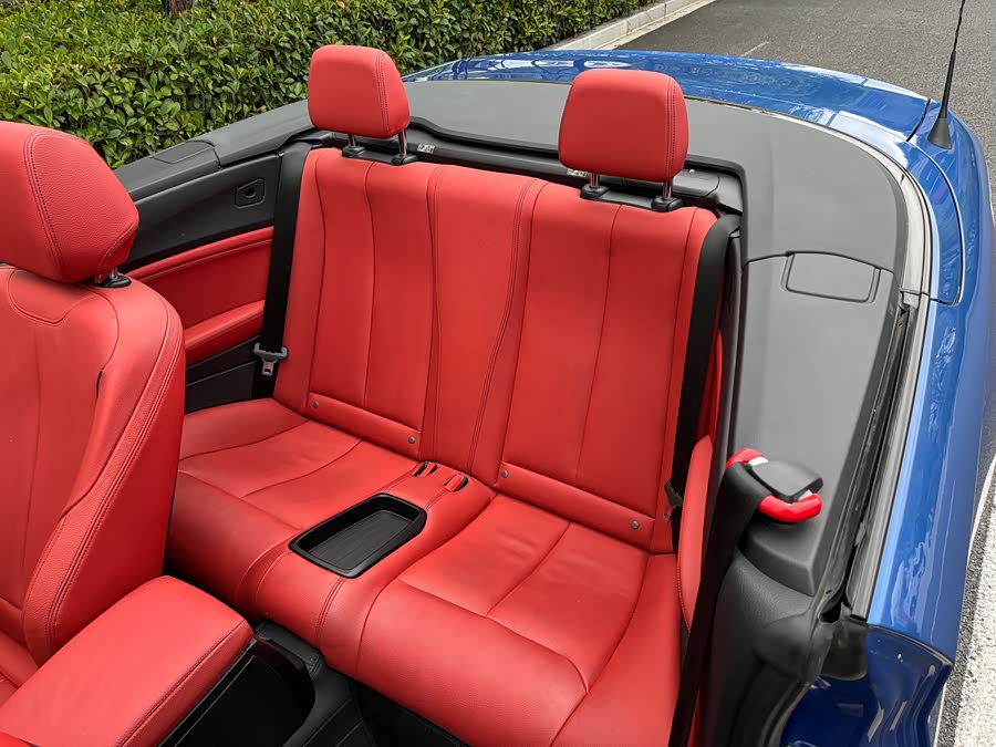 BMW 2 Series (Imported) 2016 car image #14