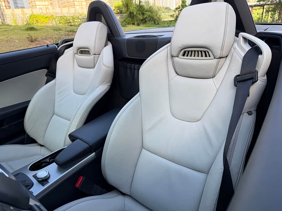 Mercedes-Benz SLK Class 2013 car image #14