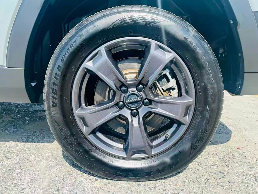 Haval Raptor New Energy 2023 car image #14