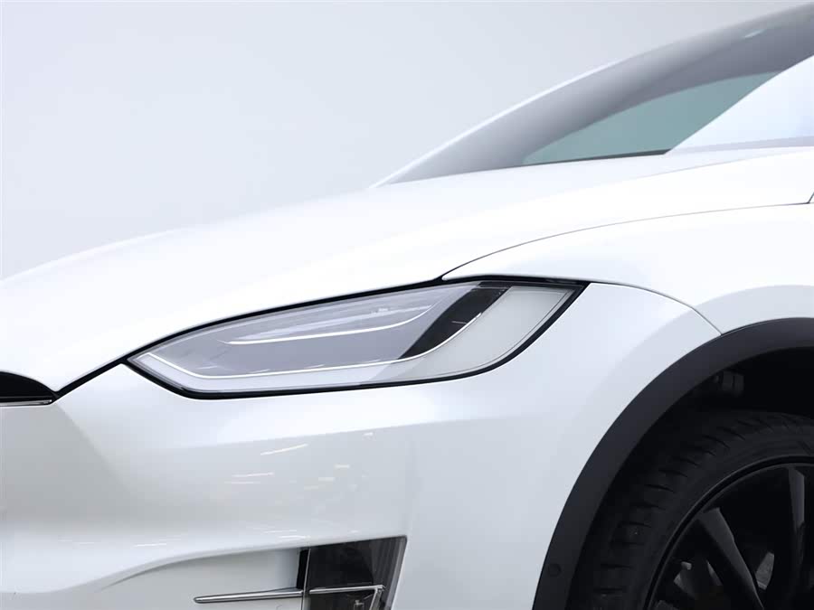 Tesla Model X 2019 car image #14
