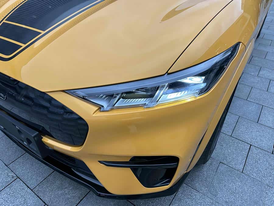 Ford Mustang Mach-E 2023 car image #14