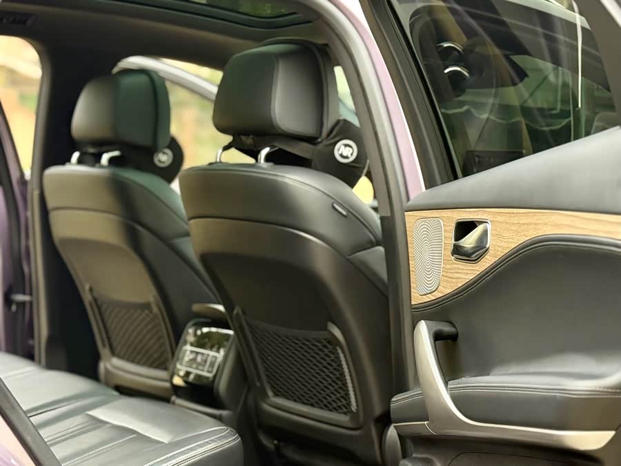 Denza X 2020 #14 Denza X 2020 imagem de carro #14