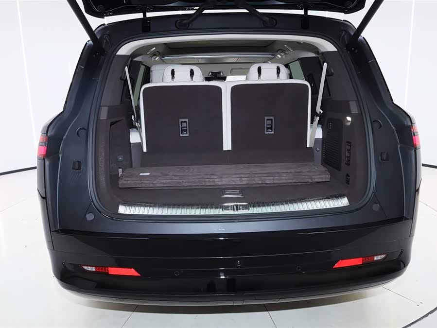 Denza N9 2025 car image #14