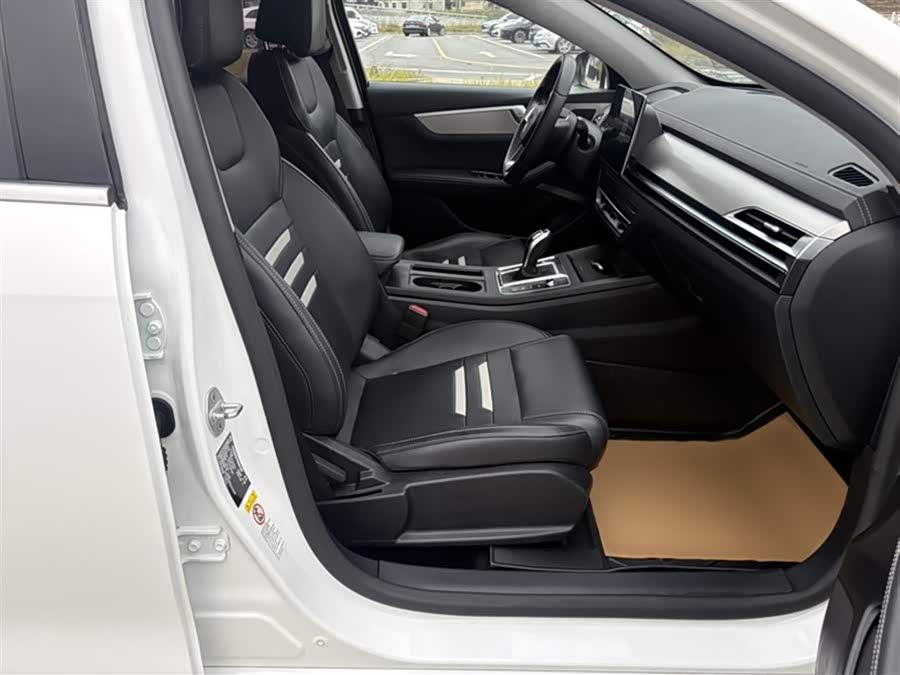 BYD Qin Pro 2020 immagine di auto #14