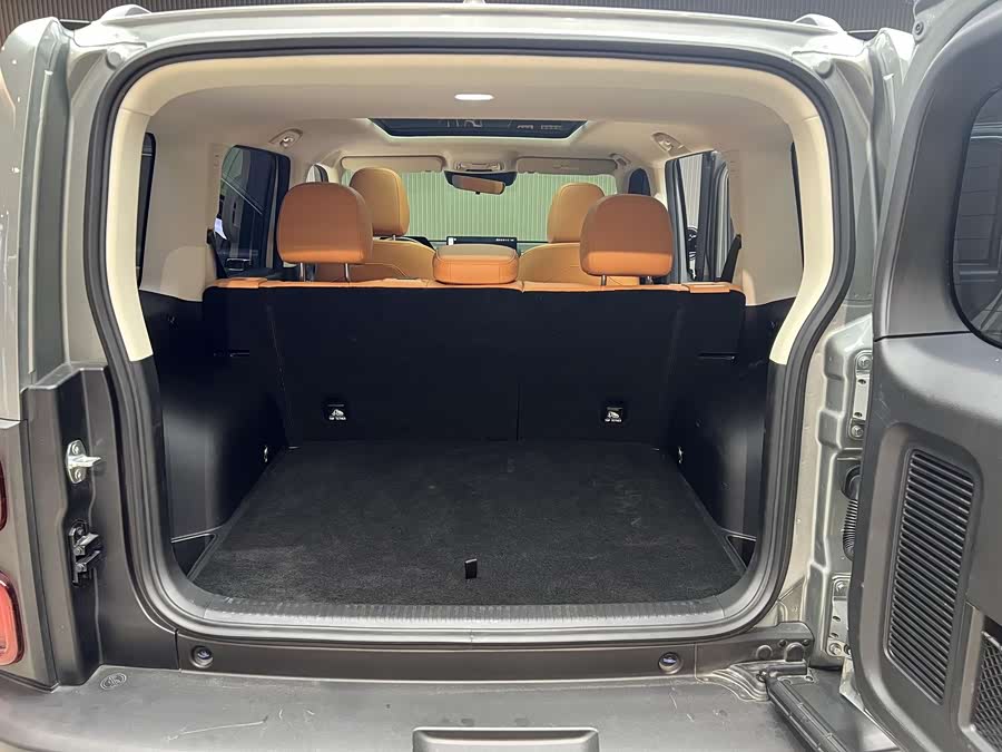 Haval Raptor New Energy 2024 car image #14