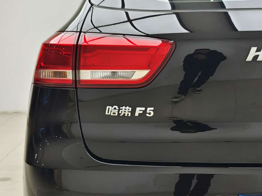 Haval F5 2018 car image #14