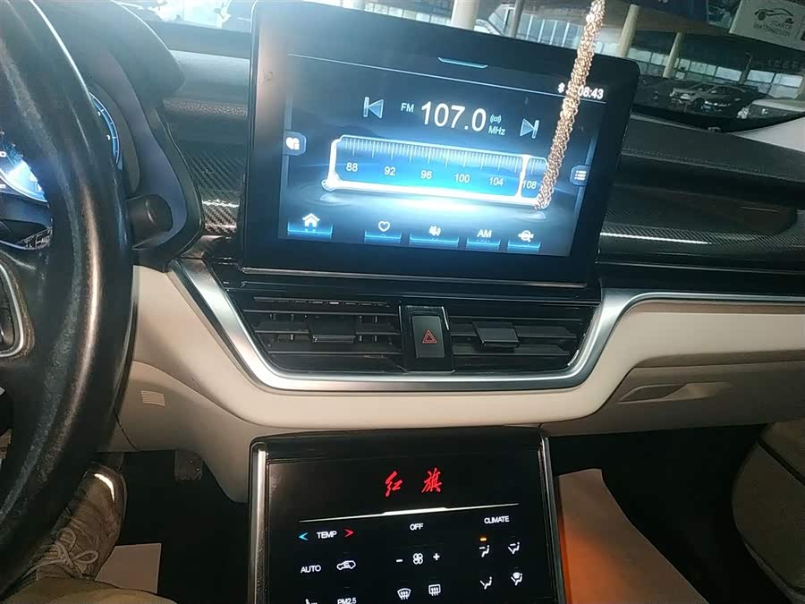 HongQi E-HS3 2019 #14 HongQi E-HS3 2019 car image #14