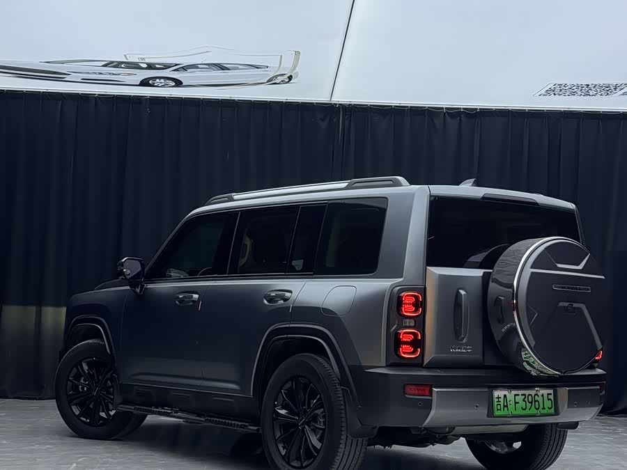 Haval Raptor New Energy 2024 car image #14