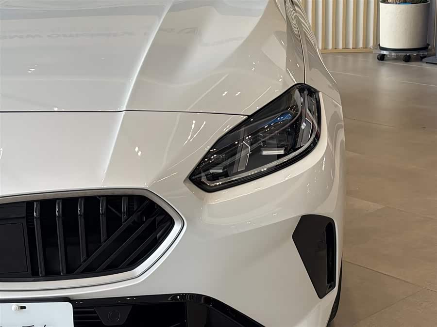 BMW 2 Series car image #14