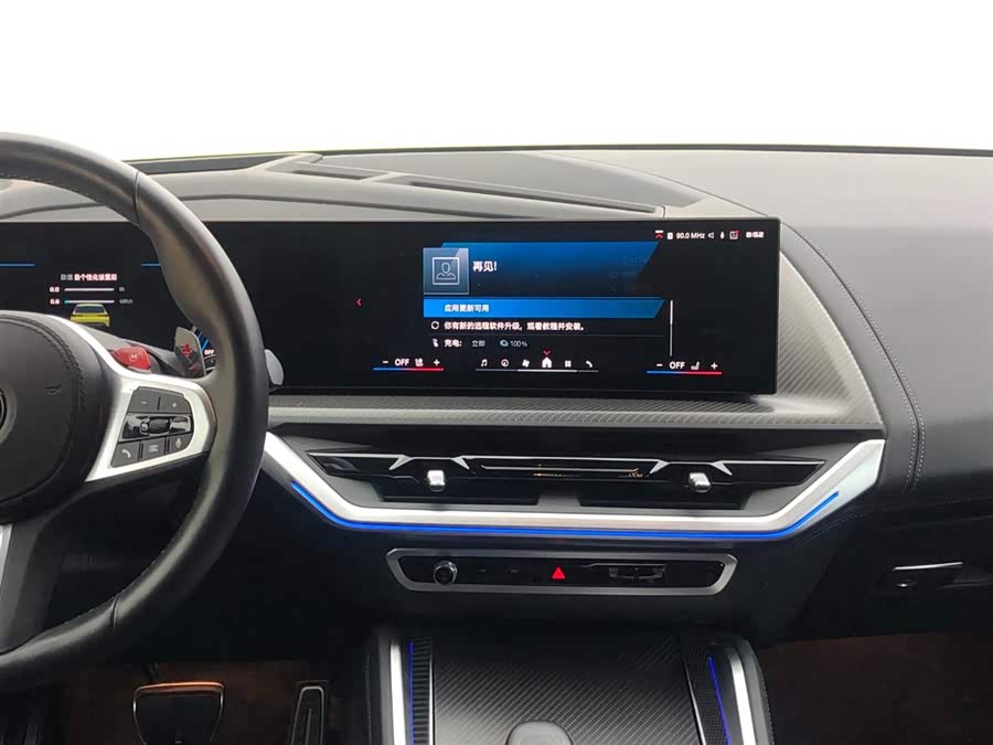 BMW XM imagem de carro #14