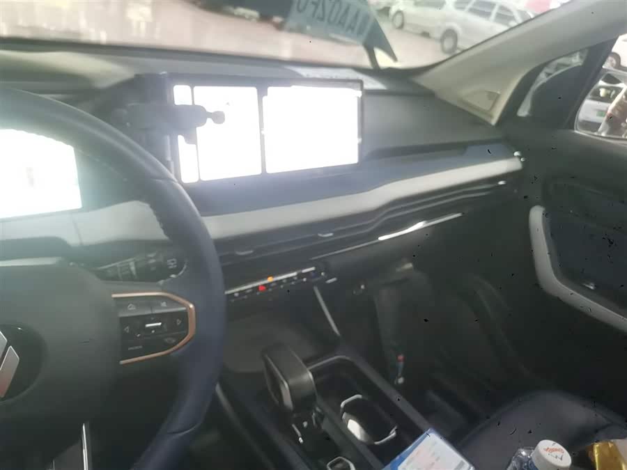 睿蓝汽车 睿蓝9 2024 汽车图片 #14