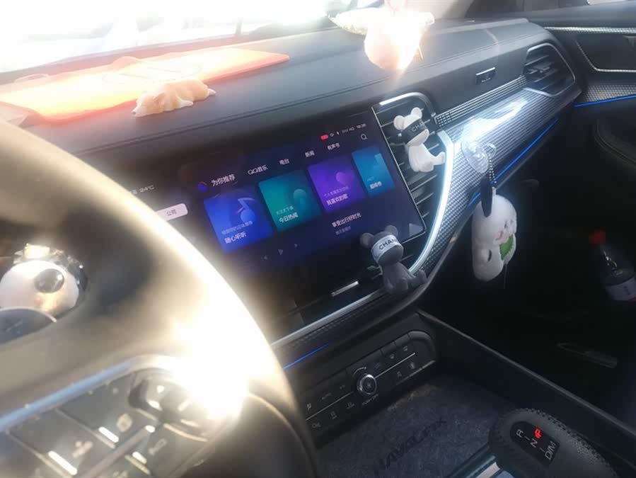 Haval F7x 2021 immagine di auto #14