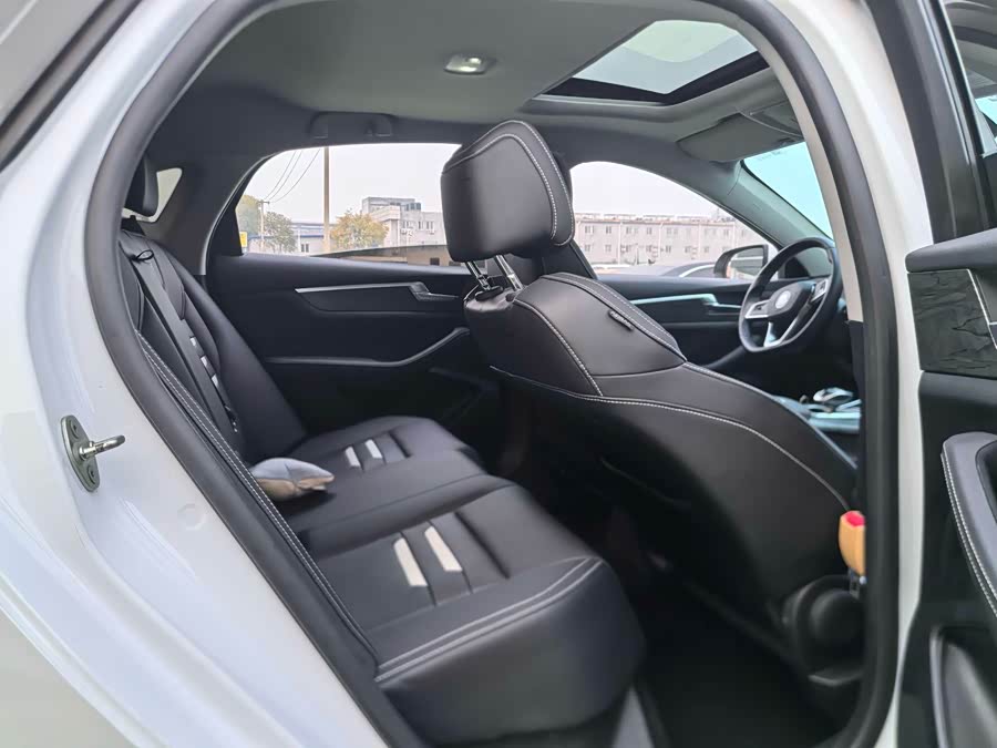 BYD Qin Pro New Energy 2018 car image #14