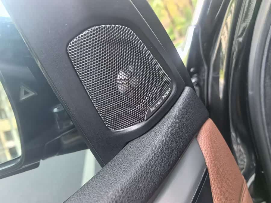 BMW X5 New Energy (Imported) 2016 car image #14