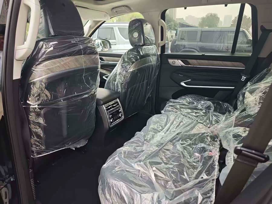 Tank 500 New Energy 2025 immagine di auto #14