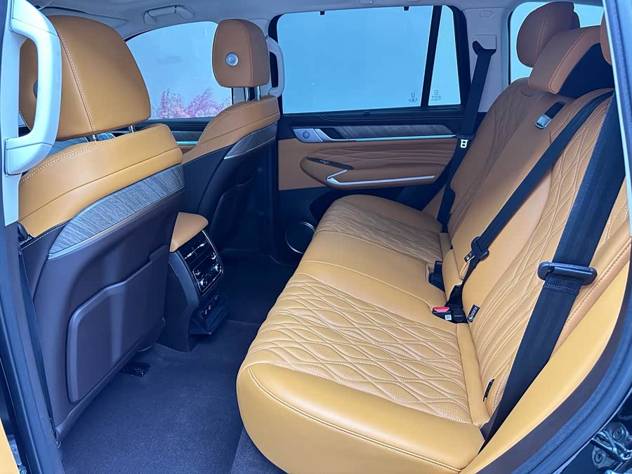 Tank 500 New Energy 2025 immagine di auto #14