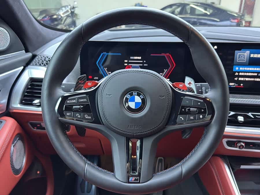 BMW XM car image #14