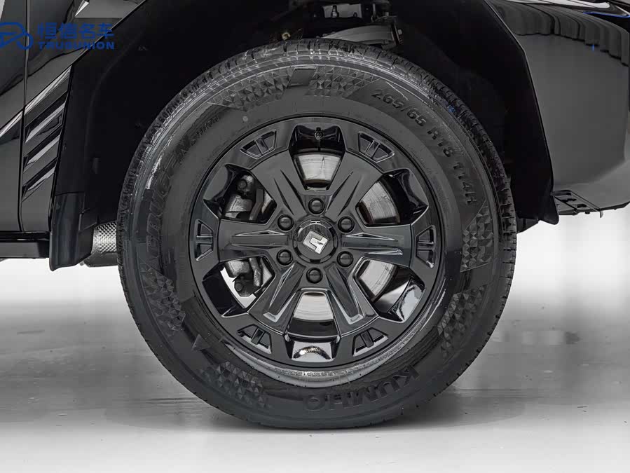 Tank 400 New Energy 2025 car image #14