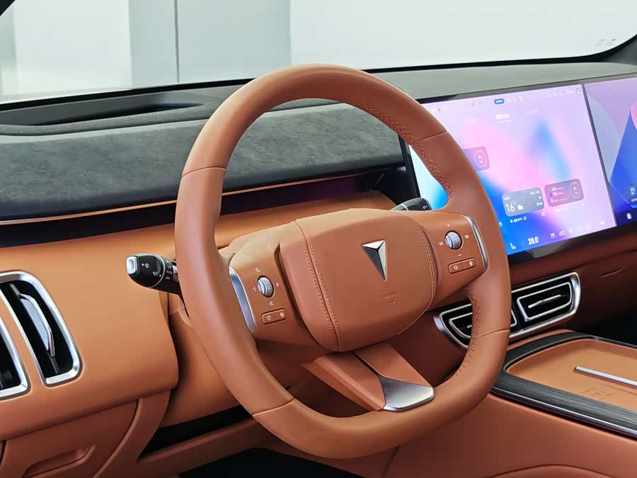 Deepal S09 2025 immagine di auto #14