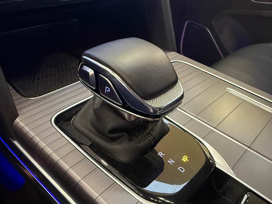 HongQi HS7 PHEV 2024 car image #14