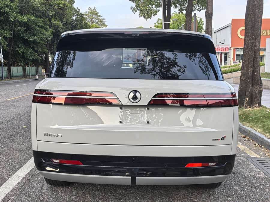 Denza N9 2025 immagine di auto #14