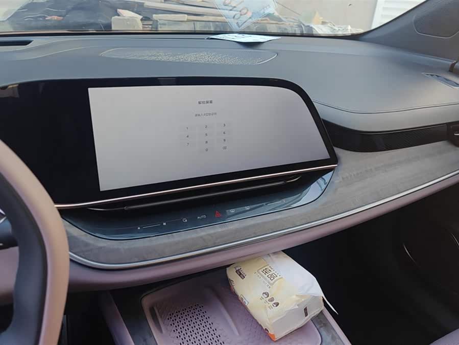 HongQi TianGong 08 2024 car image #14