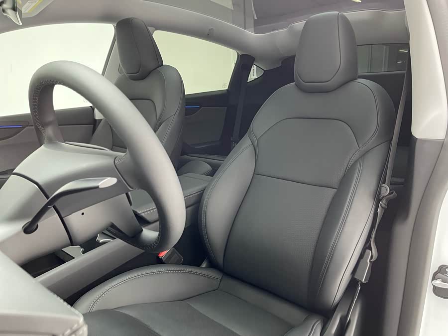 Tesla Model Y 2025 car image #14