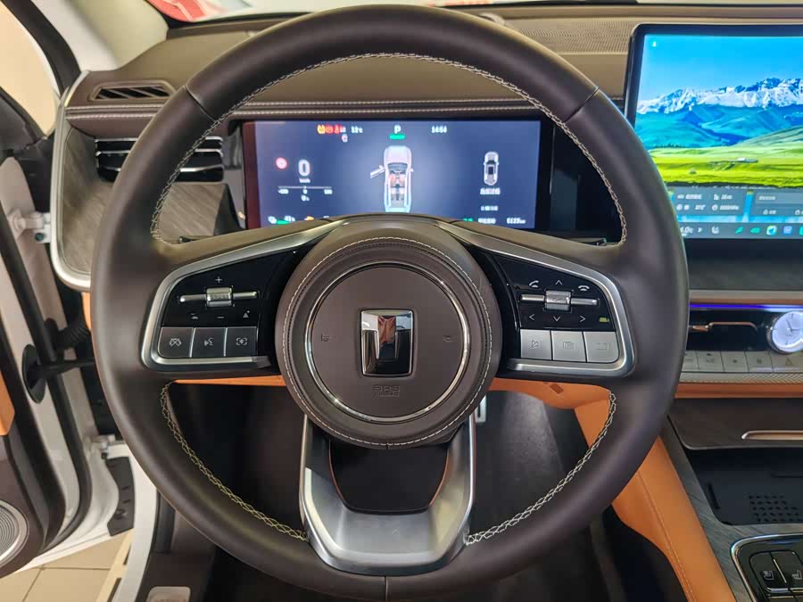 Tank 500 New Energy 2024 immagine di auto #14