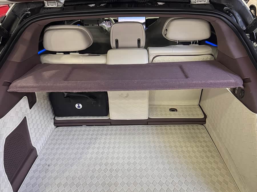 Denza Z9GT 2023 immagine di auto #14