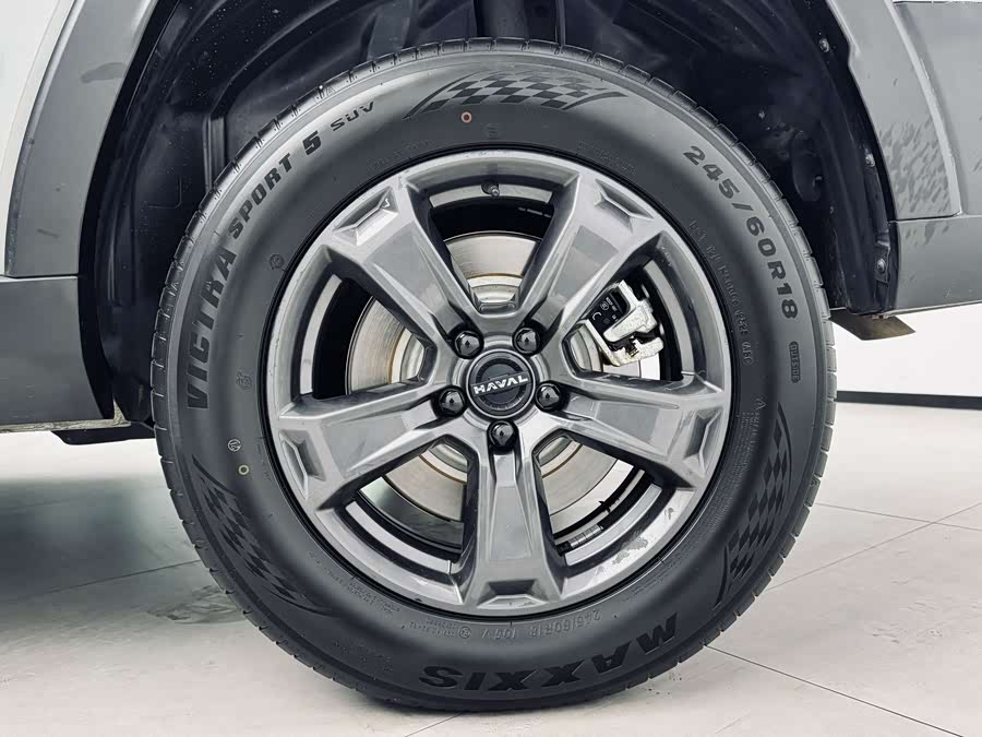 Haval Raptor New Energy 2024 car image #14