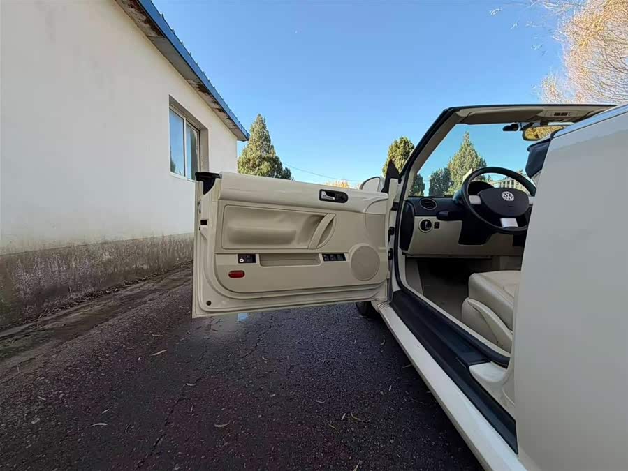 Volkswagen Beetle 2010 immagine di auto #14