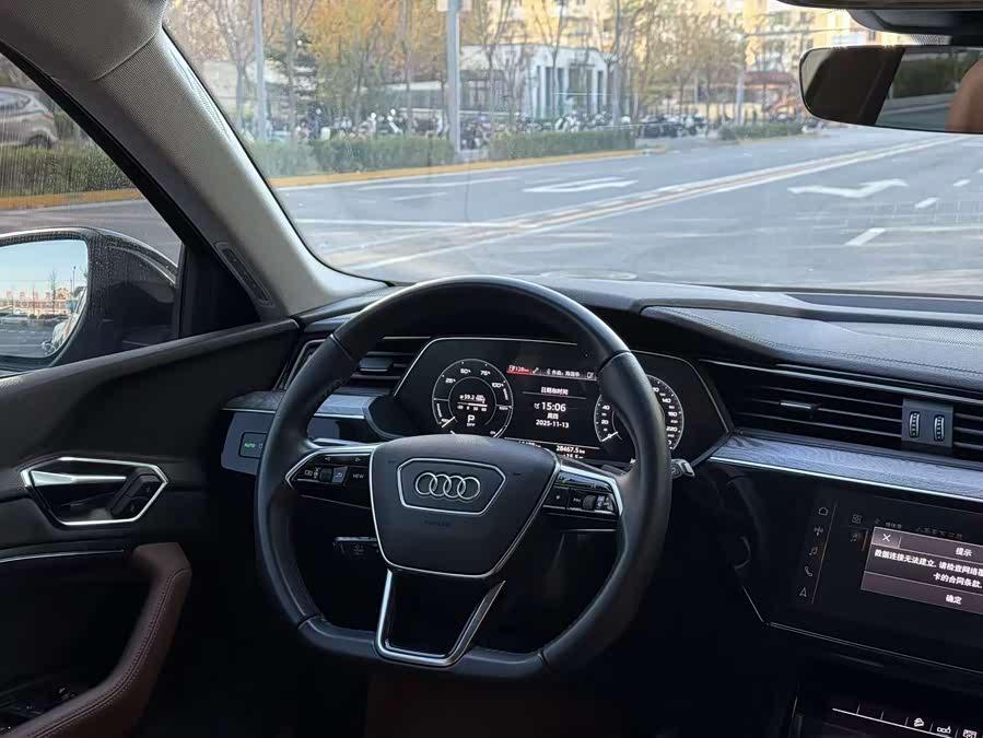 Audi e-tron (Imported) 2022 car image #14