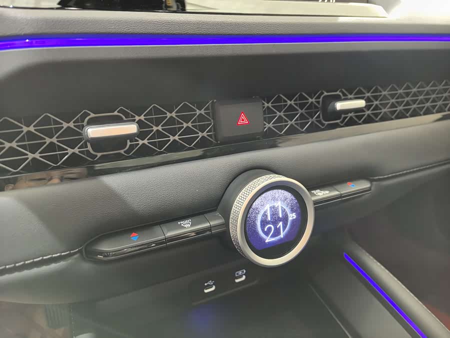 本田 雅阁 2024 汽车图片 #14