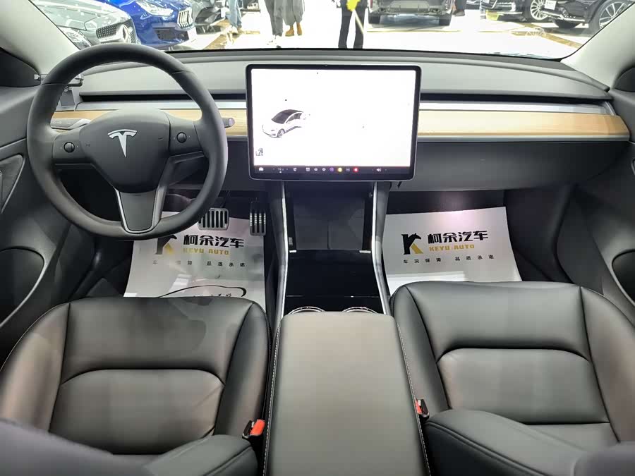 Tesla Model 3 2020 car image #14