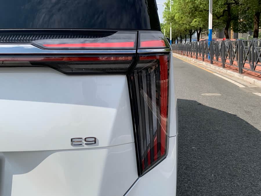 GAC Trumpchi E9 2024 car image #14