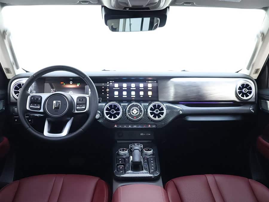 Tank 300 2024 car image #14